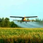 Опрыскивание кукурузы от вредителей вертолетом